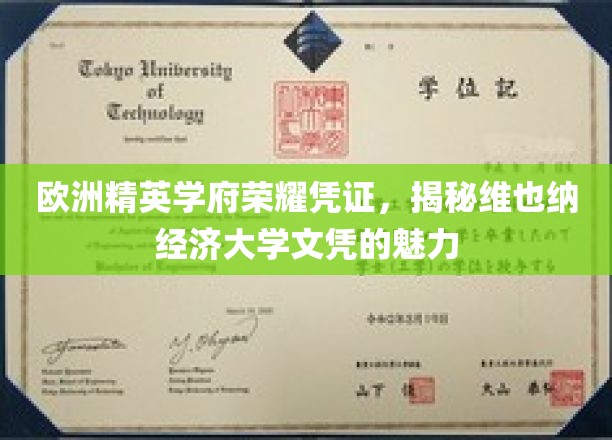 欧洲精英教育名片，维也纳经济大学文凭的非凡魅力