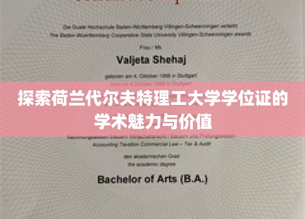解码荷兰代尔夫特理工，学位证书背后的学术传奇与无限可能