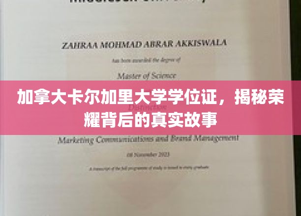 卡尔加里大学学位证之谜，揭开荣耀背后的传奇历程