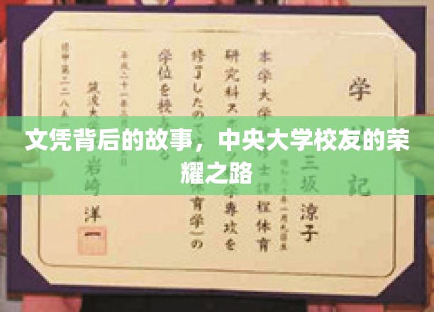 荣耀足迹，中央大学校友的文凭传奇之旅