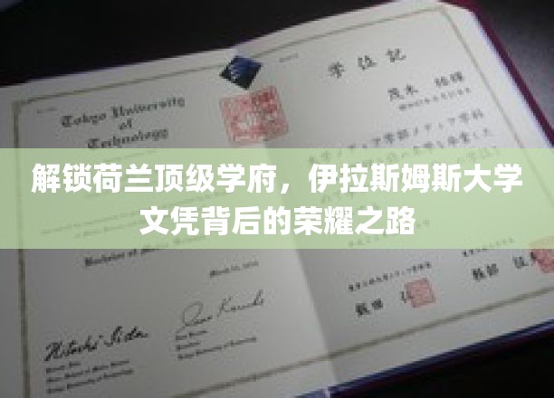 揭开伊拉斯姆斯大学荣耀文凭的神秘面纱，探索荷兰顶级学府的秘密之路
