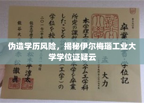 伪造学历风险，揭秘伊尔梅瑙工业大学学位证疑云