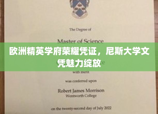 欧洲精英学府荣耀凭证，尼斯大学文凭魅力绽放