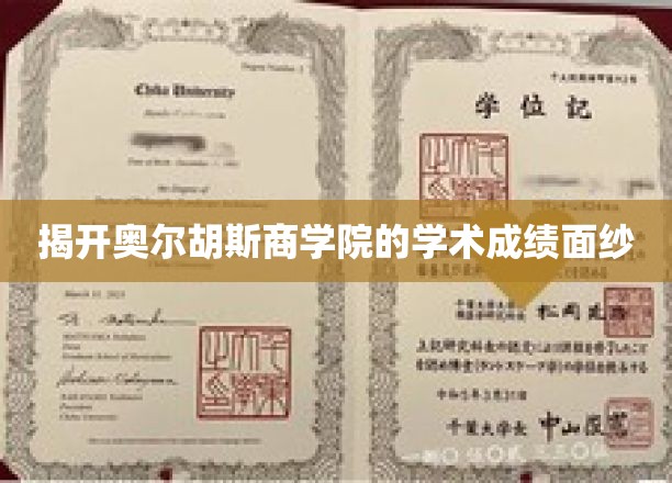揭开奥尔胡斯商学院的学术成绩面纱