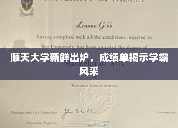 顺天骄子榜，学霸风采新篇章