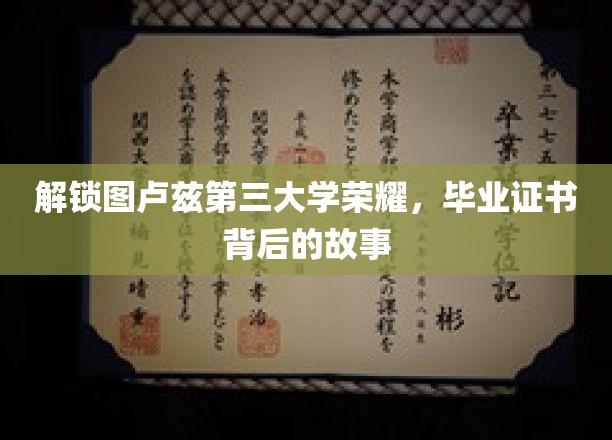 探寻图卢兹三大的辉煌历程，毕业证书背后的传奇故事