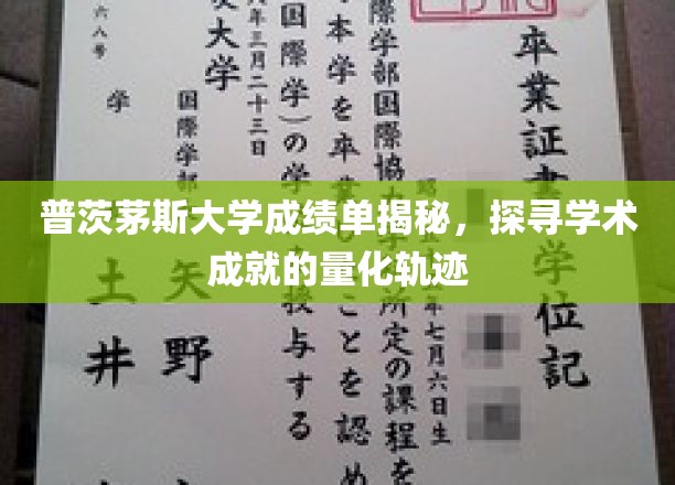 普茨茅斯大学成绩单揭秘，探寻学术成就的量化轨迹