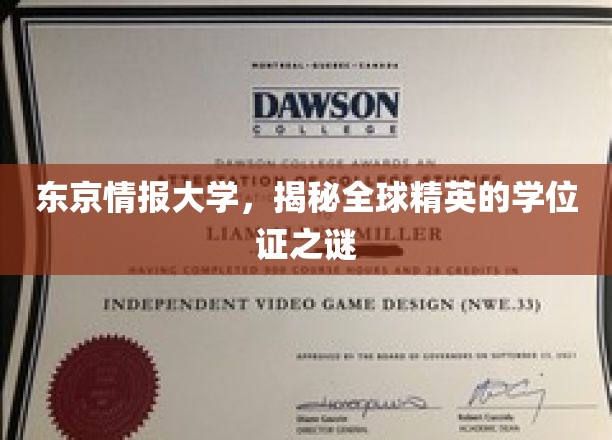 东京情报大学，揭开精英学位证的神秘面纱