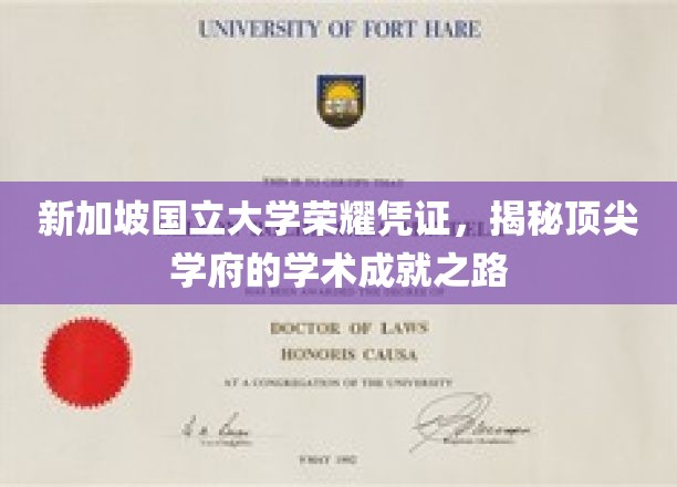 新加坡国大荣耀档案，探秘精英摇篮的学术辉煌之旅