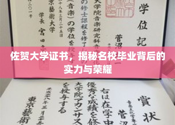 佐贺大学荣耀解码，探寻名校背后的实力与证书魅力