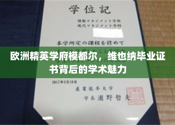 探寻维也纳模都尔精英学府，毕业证书背后的独特学术风采