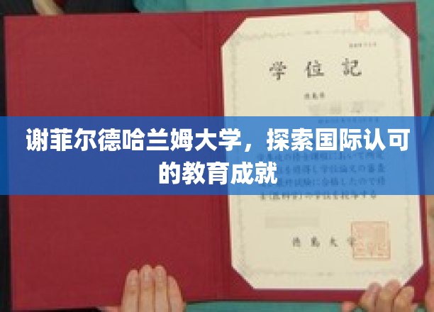 谢菲尔德哈兰姆大学，闪耀国际的教育荣耀之旅