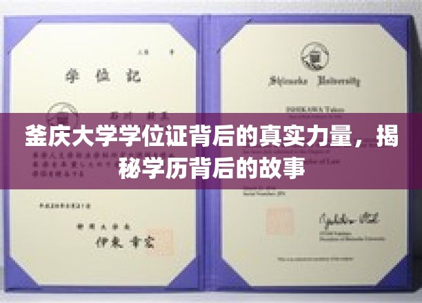 釜庆大学学位证背后的真实力量，揭秘学历背后的故事