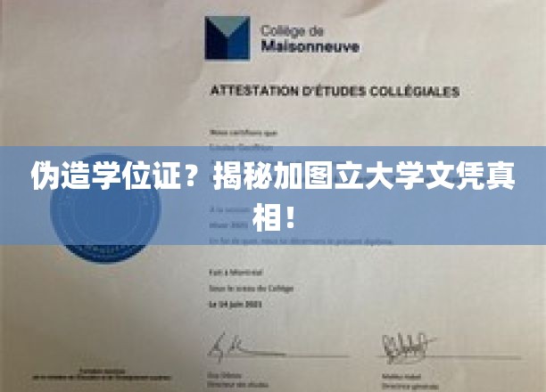 揭秘学历门，加图立大学文凭的真伪大揭秘！