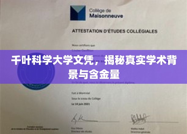 千叶科学大学文凭深度解析，揭秘其学术实力与市场认可度