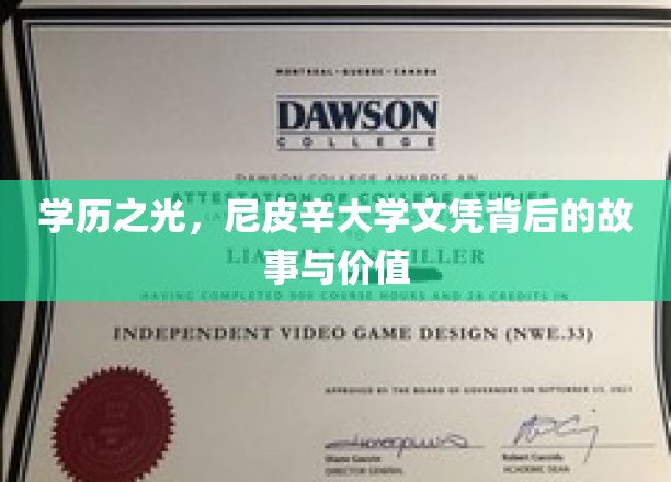 尼皮辛大学文凭，揭秘隐藏在学历光环下的传奇与价值
