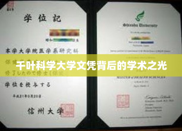 千叶科学大学文凭背后的学术之光