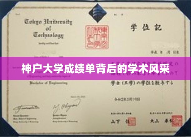 解码神户大学，成绩单背后的学术魅力之光