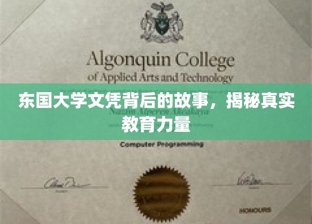 探寻东国大学文凭背后的传奇，深度解析教育实力的真实面貌