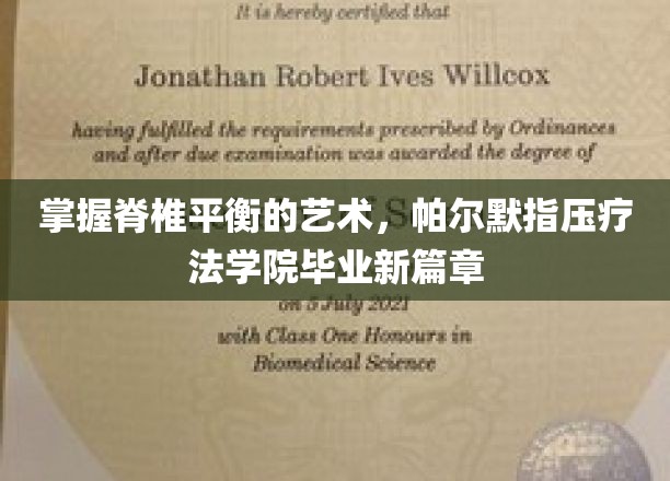 解锁脊椎平衡秘籍，帕尔默指压疗法学院学子开启全新旅程