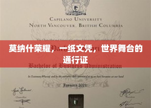莫纳什荣耀，一纸文凭，世界舞台的通行证