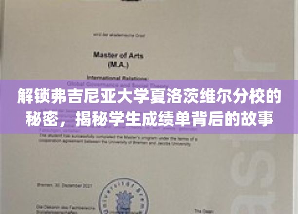 探索弗吉尼亚大学夏洛茨维尔分校的奥秘，揭秘学生成绩单背后的故事