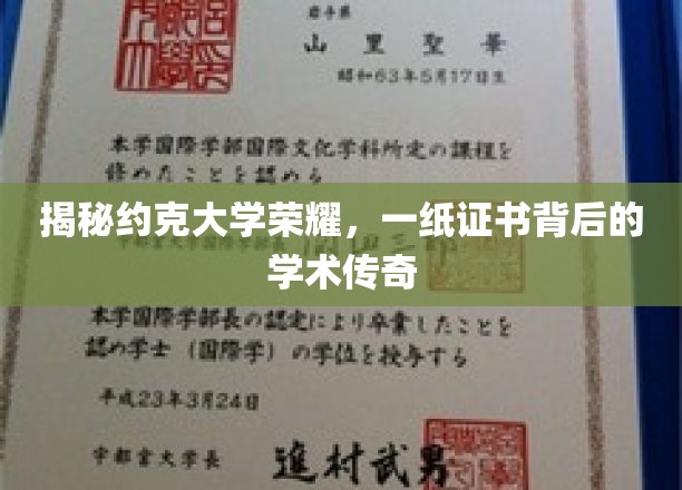 约克大学荣耀揭秘，证书背后的学术传奇之旅