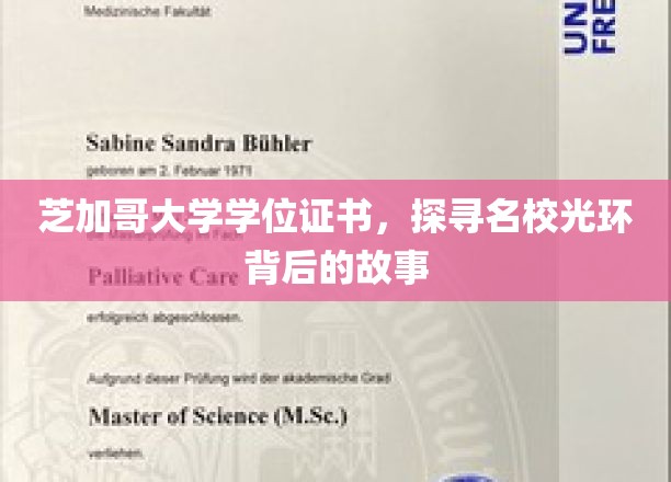 芝加哥大学学位证书揭秘，名校背后的传奇与奥秘