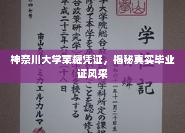 神奈川大学毕业证书大揭秘，探寻荣耀凭证背后的真实风采