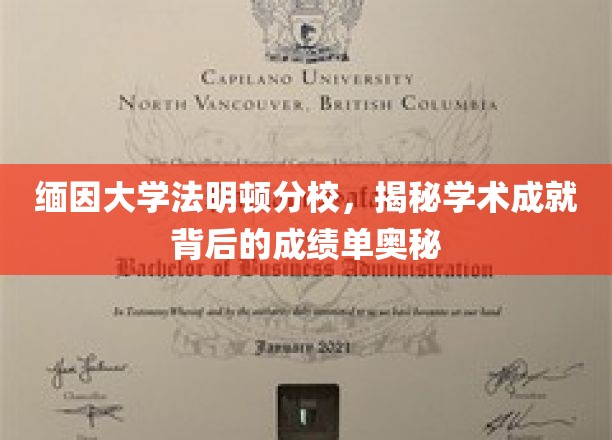 探寻缅因大学法明顿分校学术辉煌背后的成绩单秘籍