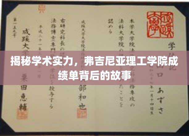 解码弗吉尼亚理工学院，揭秘学霸背后的学术奥秘