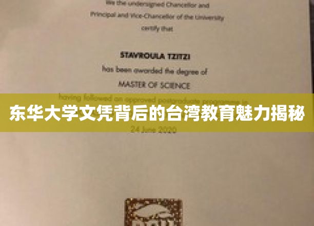 台湾教育之光，东华大学文凭背后的独特魅力揭晓