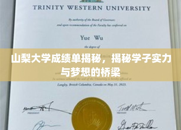 山梨大学成绩单揭秘，揭秘学子实力与梦想的桥梁