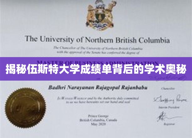 解码伍斯特大学成绩单，探寻学术卓越的神秘面纱