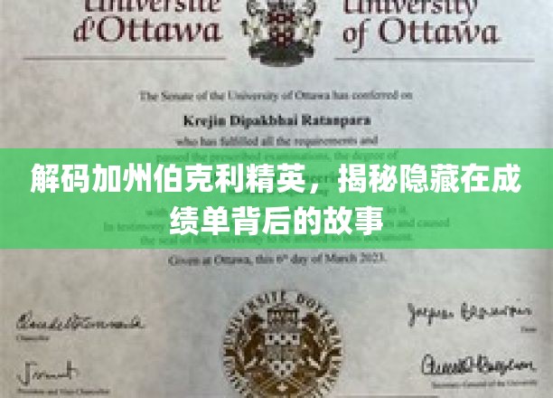 伯克利精英面纱揭晓，探索成绩单背后的璀璨人生轨迹