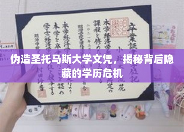 假文凭风波，圣托马斯大学学历认证的信任危机