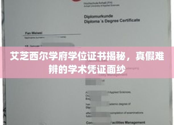 揭开艾芝西尔学府学位证书的神秘面纱，揭秘学术凭证背后的真相
