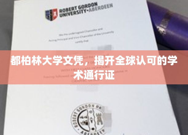 国际通行证，都柏林大学文凭引领全球学术认可之路