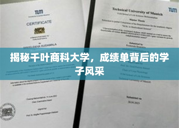 探寻千叶商科大学学子成绩单背后的精彩人生