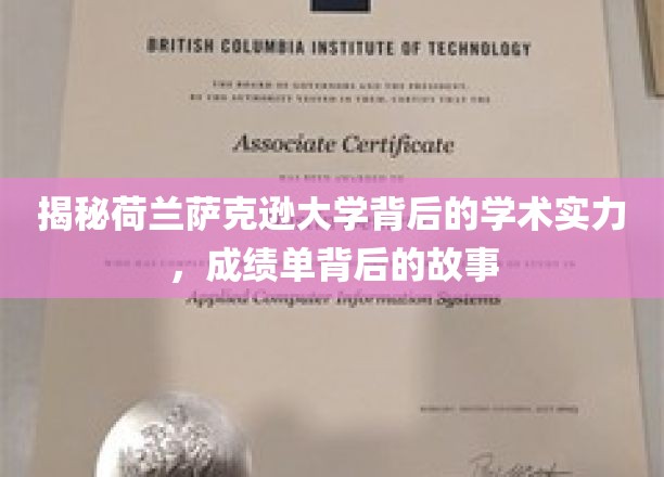 解码萨克逊大学，揭秘卓越学术的背后传奇