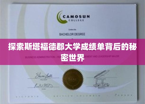 揭秘斯塔福德郡大学成绩单，揭开学术成就的神秘面纱