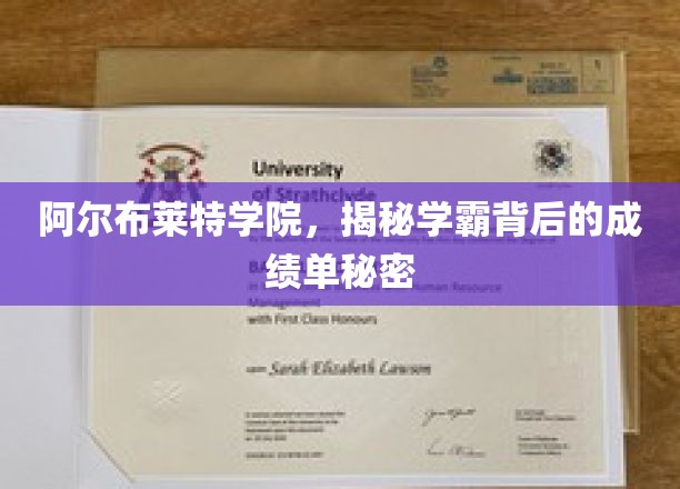 阿尔布莱特学院，揭秘学霸背后的成绩单秘密