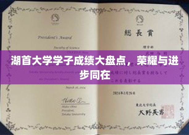 湖首骄子荣耀榜，成绩斐然，锐意进取展风采