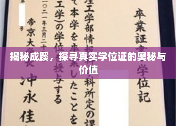 学位证背后的故事，揭秘其价值与真实面纱