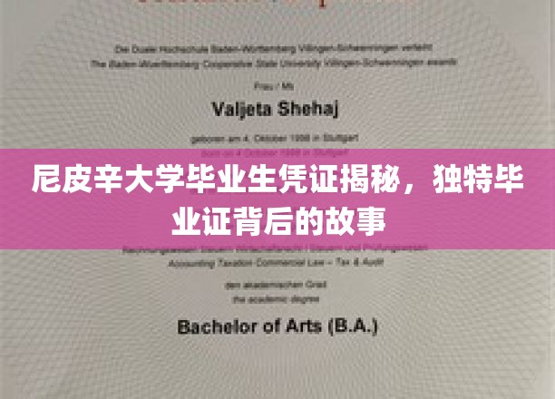 尼皮辛大学独树一帜毕业证，探寻背后不为人知的传奇故事