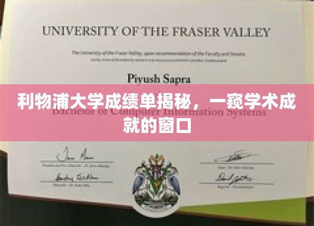 解码利物浦大学，揭秘学生的学术辉煌之路