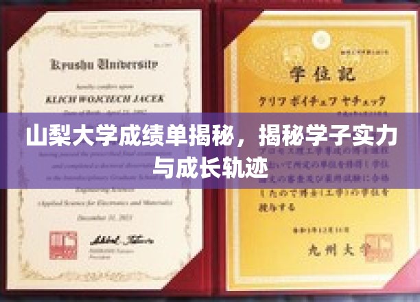 山梨大学学子风采，探秘成绩单背后的实力与成长