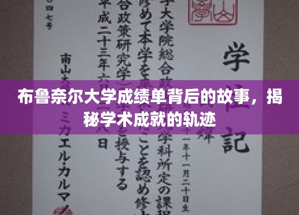 探寻布鲁奈尔大学成绩单背后的秘密，成就之路的点点滴滴
