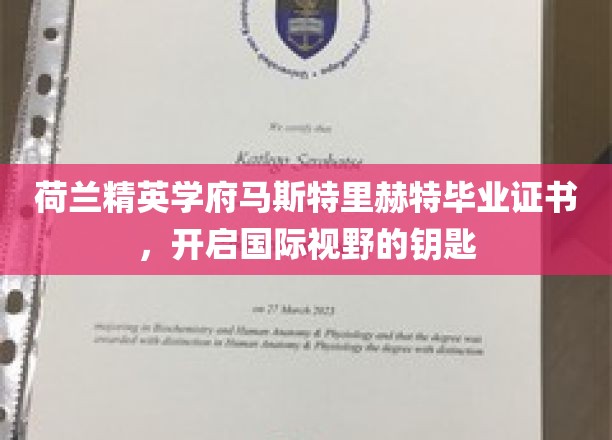 解锁全球视野，马斯特里赫特精英学府毕业证书的魅力