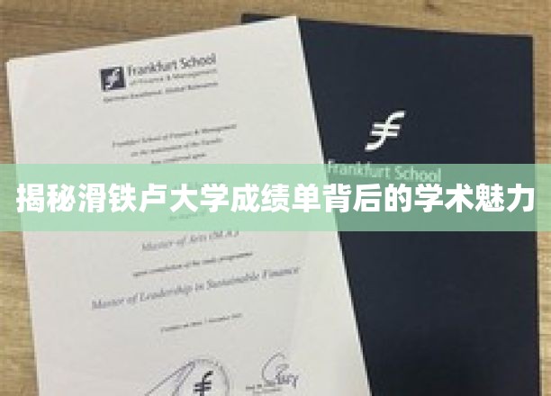 解锁滑铁卢大学成绩单的学术奥秘